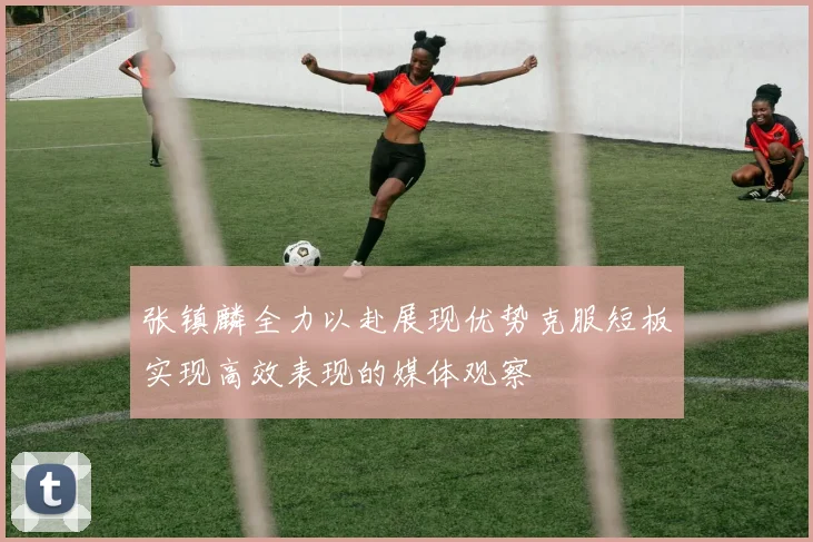 张镇麟全力以赴展现优势克服短板实现高效表现的媒体观察