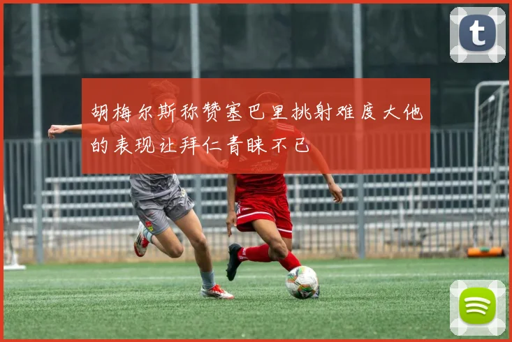 胡梅尔斯称赞塞巴里挑射难度大他的表现让拜仁青睐不已