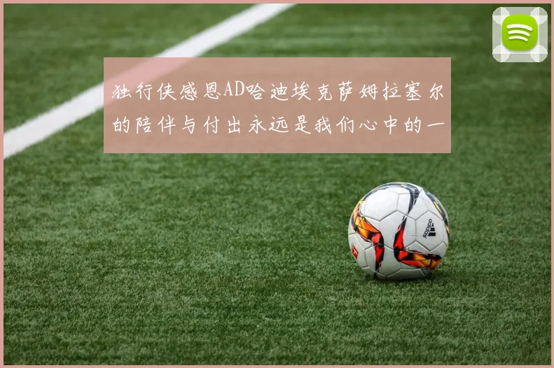 独行侠感恩AD哈迪埃克萨姆拉塞尔的陪伴与付出永远是我们心中的一家人